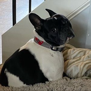 Meet your Posher, Katelyn